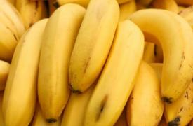 原產于南亞的野生香蕉被發現具有強大的抗糖尿病特性
