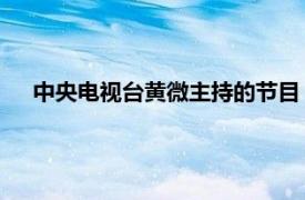 中央電視臺黃微主持的節目（黃歡 中央人民廣播電臺主播）