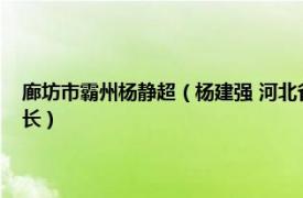 廊坊市霸州楊靜超（楊建強 河北省廊坊市霸州市開發區人力資源管理局局長）