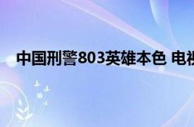 中國刑警803英雄本色 電視劇（中國刑警803英雄本色）