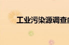 工業污染源調查內容（工業污染源）