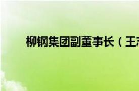 柳鋼集團副董事長（王志國 柳鋼股份公司原董事）