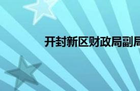 開封新區(qū)財政局副局長（開封新區(qū)財政局）