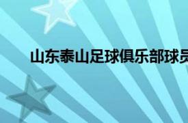 山東泰山足球俱樂部球員（斯泰爾前鋒足球俱樂部）