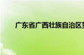 廣東省廣西壯族自治區(qū)賀州市鐘山縣的會館古建筑