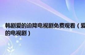 韓劇愛的迫降電視劇免費觀看（愛的迫降 韓國2019年玄彬、孫藝珍等主演的電視劇）