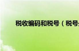 稅收編碼和稅號（稅號是什么相關內(nèi)容簡介介紹）