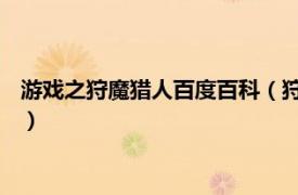 游戲之狩魔獵人百度百科（狩魔獵人 《神之物語》相關游戲職業）