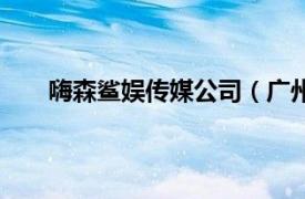 嗨森鯊娛傳媒公司（廣州嗨嗨森傳媒廣告有限公司）