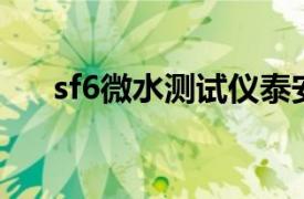 sf6微水測試儀泰安（SF6微水測試儀）