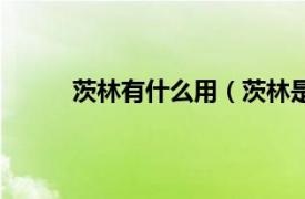 茨林有什么用（茨林是什么相關內容簡介介紹）