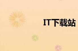 IT下載站（IT下載吧）
