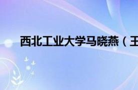 西北工業大學馬曉燕（王曉娟 西北工業大學副教授）