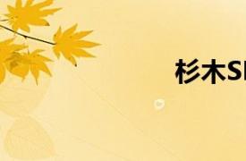 杉木SML8838