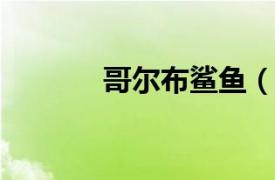 哥爾布鯊魚（哥爾GO-2082）