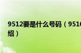 9512要是什么號碼（9510212可以回撥嗎相關內容簡介介紹）
