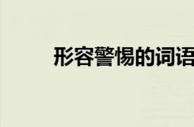 形容警惕的詞語(yǔ)（警惕 漢語(yǔ)詞語(yǔ)）