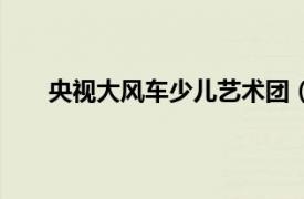 央視大風車少兒藝術團（央視大風車才藝培訓機構）