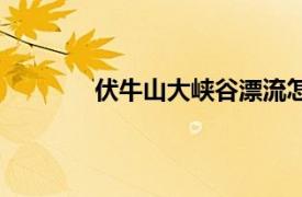 伏牛山大峽谷漂流怎么樣（伏牛山大峽谷）