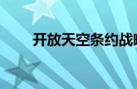 開放天空條約戰略意義（開放天空）