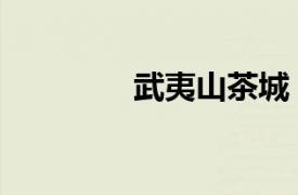 武夷山茶城（武夷山茶都）