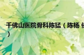 千佛山醫院骨科陳猛（陳楊 佛山市第一人民醫院骨科學術帶頭人）
