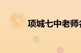 項城七中老師名單（項城七中）