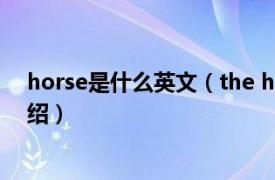 horse是什么英文（the horse是什么牌子相關內容簡介介紹）