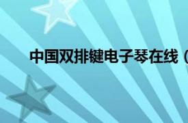 中國雙排鍵電子琴在線（雙排鍵電子琴中國作品集）