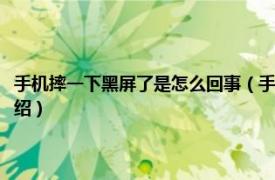 手機摔一下黑屏了是怎么回事（手機摔了一下黑屏了怎么辦相關內容簡介介紹）