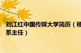 劉江紅中國傳媒大學簡歷（楊紅 中國傳媒大學文化產業管理學院系主任）
