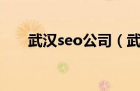 武漢seo公司（武漢好的SEO優化網）