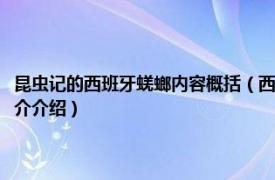 昆蟲記的西班牙蜣螂內容概括（西班牙蜣螂昆蟲記主要內容概括相關內容簡介介紹）