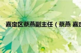 嘉定區(qū)蔡燕副主任（蔡燕 嘉定區(qū)經(jīng)濟(jì)委員會(huì)產(chǎn)業(yè)投資科科長(zhǎng)）