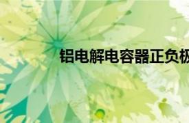 鋁電解電容器正負極區分（鋁電解電容器）