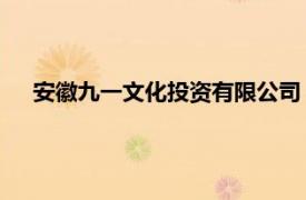 安徽九一文化投資有限公司（馬成 安徽九一文化投資總裁）