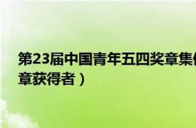 第23屆中國青年五四獎章集體（陳春林 第20屆中國青年五四獎章獲得者）