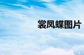 裳鳳蝶圖片（邦古裳鳳蝶）