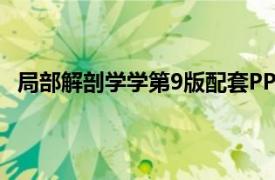局部解剖學學第9版配套PPT（局部解剖學 案例版第3版）