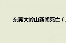 東莞大嶺山新聞死亡（東莞大嶺山劫持人質事件）