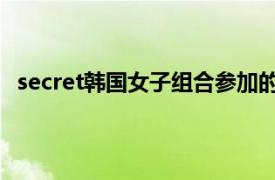 secret韓國女子組合參加的綜藝（secret 韓國女子組合）