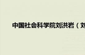 中國社會科學院劉洪巖（劉世龍 中國社會科學院研究員）