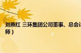 劉燕紅 三環集團公司董事、總會計師（劉燕紅 三環集團公司董事、總會計師）