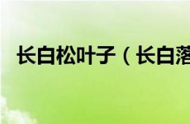 長白松葉子（長白落葉松家系9120C805）