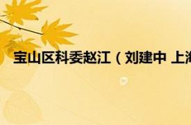寶山區科委趙江（劉建中 上海市寶山區科學技術委員會主任）