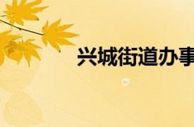 興城街道辦事處（興城街道）