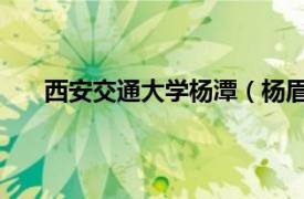 西安交通大學楊潭（楊眉 西安交通大學藝術系教授）