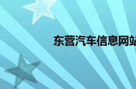 東營汽車信息網站（東營汽車信息網）