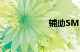 輔助SMS-40DB06