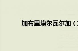 加布里埃爾瓦爾加（加布里埃爾佩尼亞爾瓦）